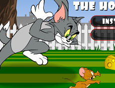Tom si Jerry Distractie prin Casa